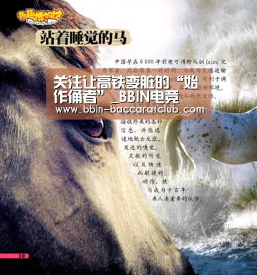 关注让高铁变脏的“始作俑者”_BBIN电竞(图1) BBIN篮球