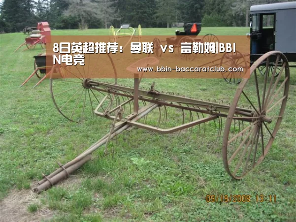 8日英超推荐:曼联 vs 富勒姆|BBIN电竞(图4) BBIN体育