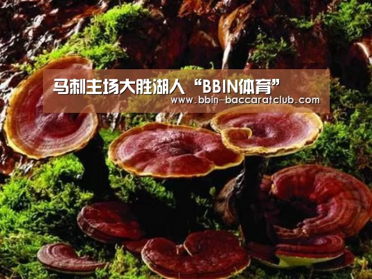 马刺主场大胜湖人“BBIN体育”(图1) BBIN体育