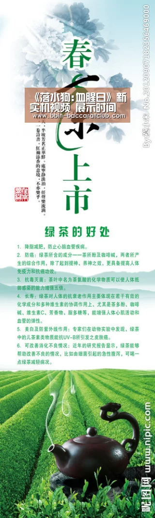 BBIN足球