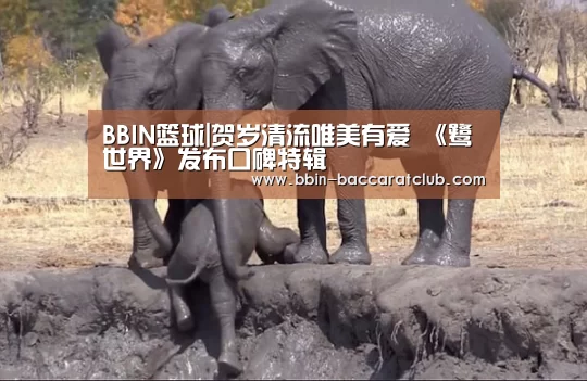 BBIN足球