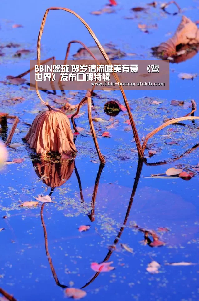 BBIN足球