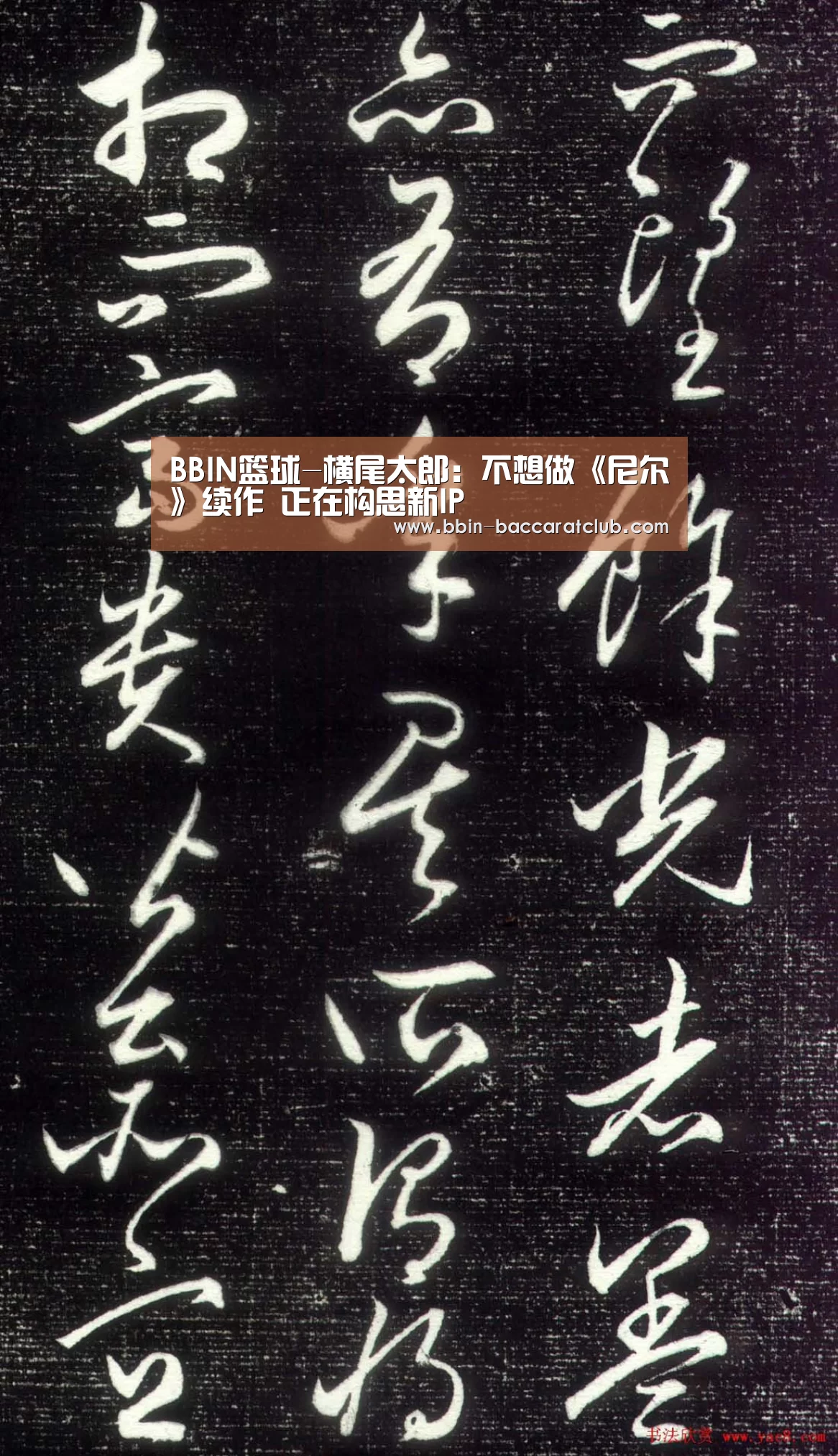BBIN篮球-横尾太郎:不想做《尼尔》续作 正在构思新IP(图2) BBIN电竞