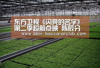 东方卫视《闪亮的名字》第二季超前点映 陈辰分享幕后感悟【BBIN电竞】(图4) BBIN体育